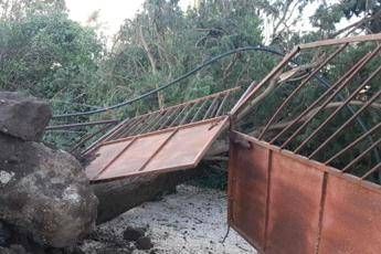 Allarme Cia Puglia, meteo pazzo ha sferzato agricoltura Allarme Cia Puglia, meteo pazzo ha sferzato agricoltura